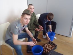 Большие манёвры